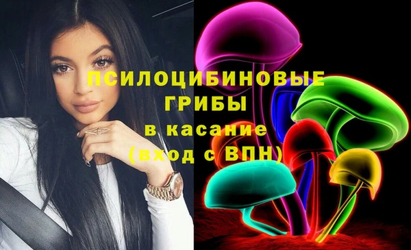 ПСИЛОЦИБИНОВЫЕ ГРИБЫ Баксан