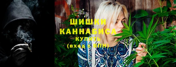 ПСИЛОЦИБИНОВЫЕ ГРИБЫ Баксан